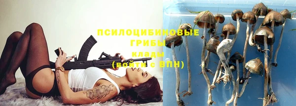 герыч Алзамай