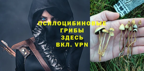 мескалин Алексин