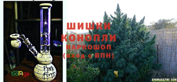 дмт Инта